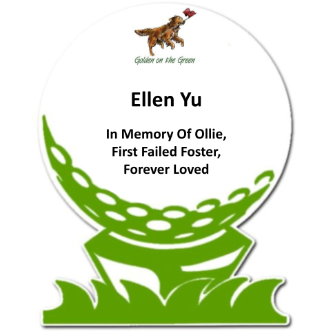 Sponsor In Memory Of Ollie, First Failed Foster, Forever Loved