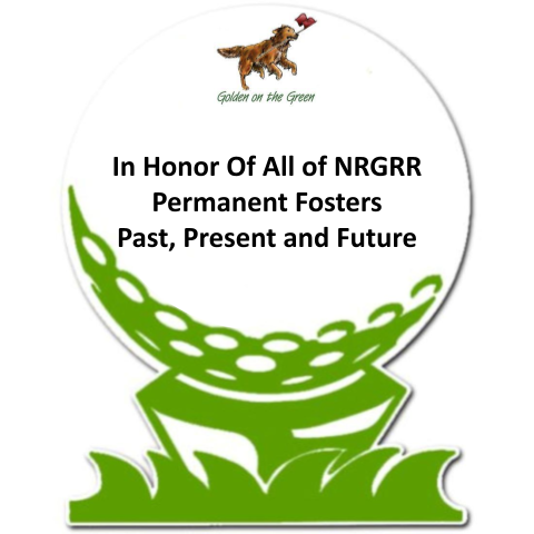 Sponsor In Honor Of All of NRGRR Permanent Fosters  Past, Present and Future