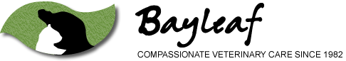 Sponsor Bayleaf Veterinary Hospital