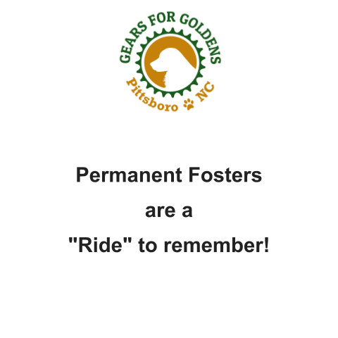 Sponsor Permanent Fosters