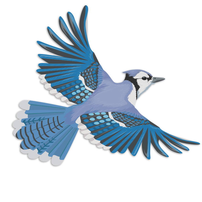 Bikes For Blue Jays 2025