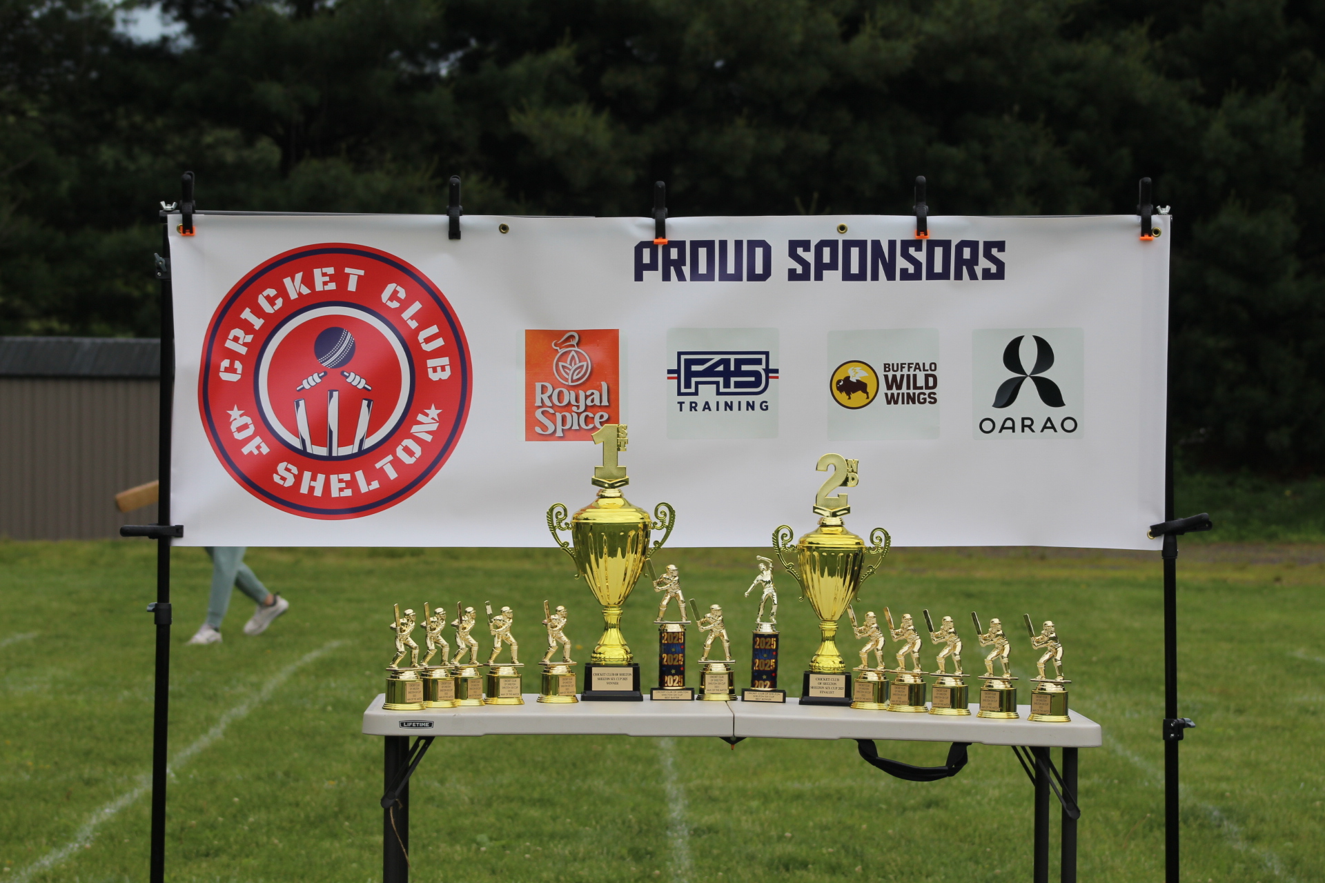 Shelton Six Cup