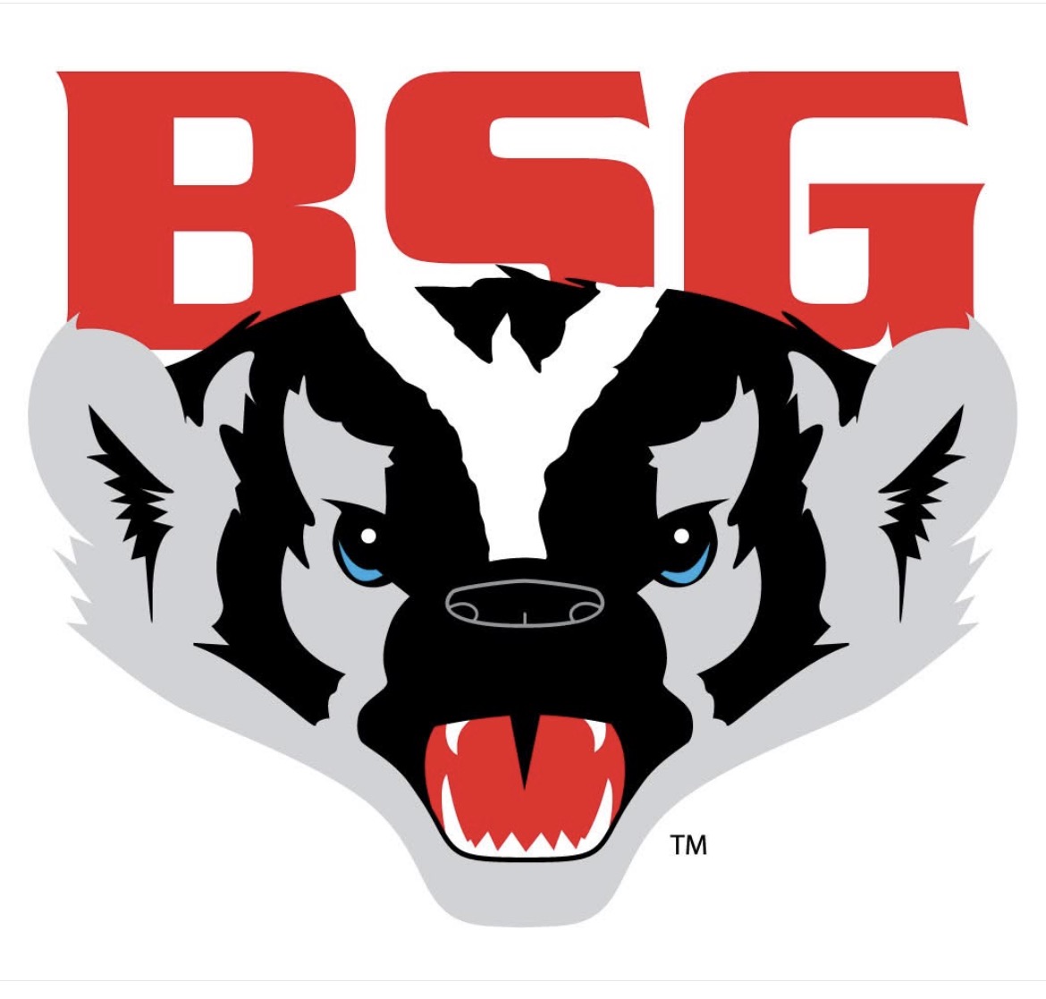 BSG